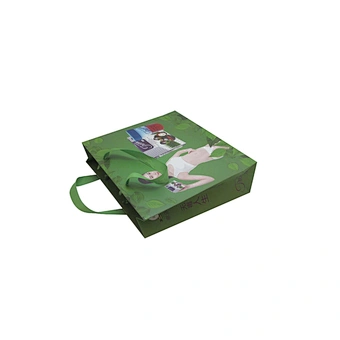 Green Eco-friendly Paper Bag with Handle