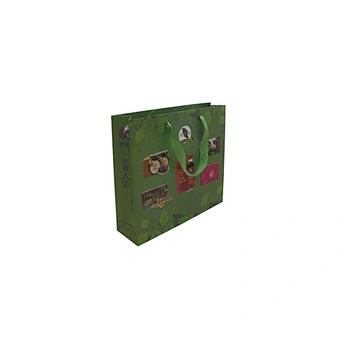 Green Eco-friendly Paper Bag with Handle