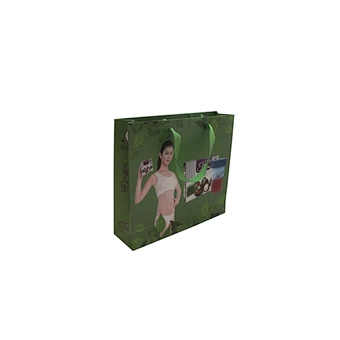 Green Eco-friendly Paper Bag with Handle