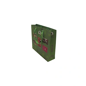 Green Eco-friendly Paper Bag with Handle