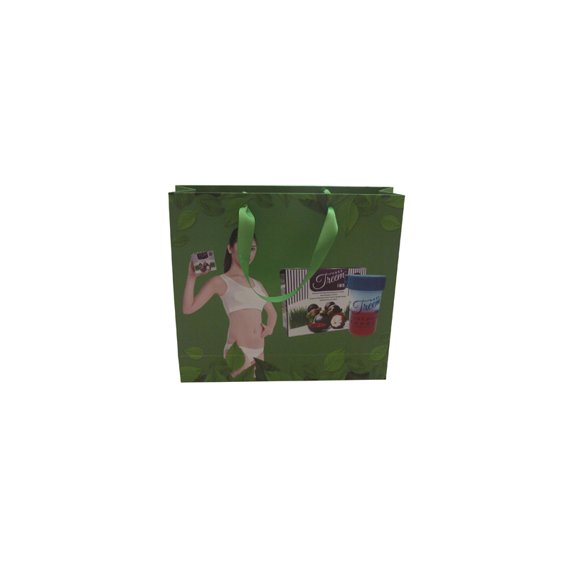 Green Eco-friendly Paper Bag with Handle